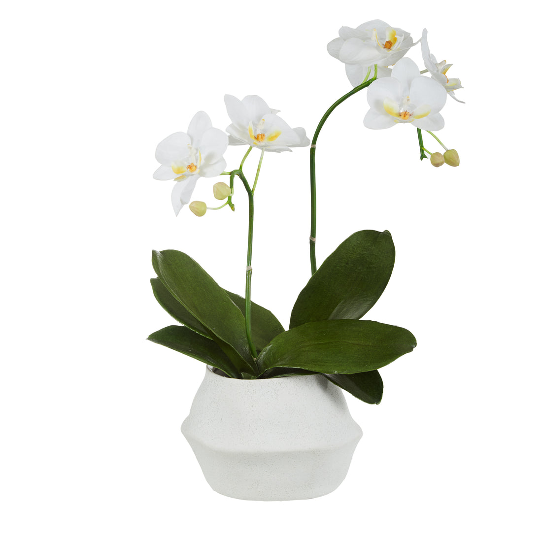 Faux Phalaenopsis Orchid Plant - Maliah Pot | White - 45cm
