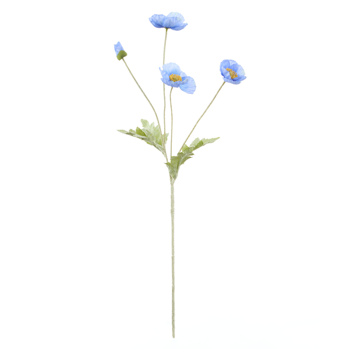 Rogue Poppy Spray Blue