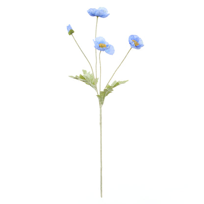 Rogue Poppy Spray Blue