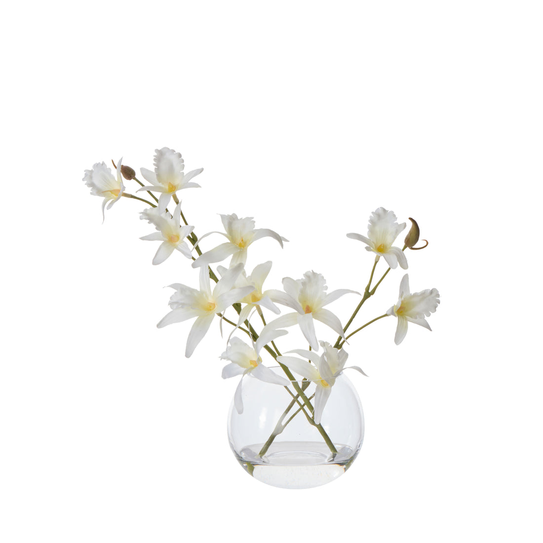 Faux Dendrobium - Sphere Vase | White -  30cm