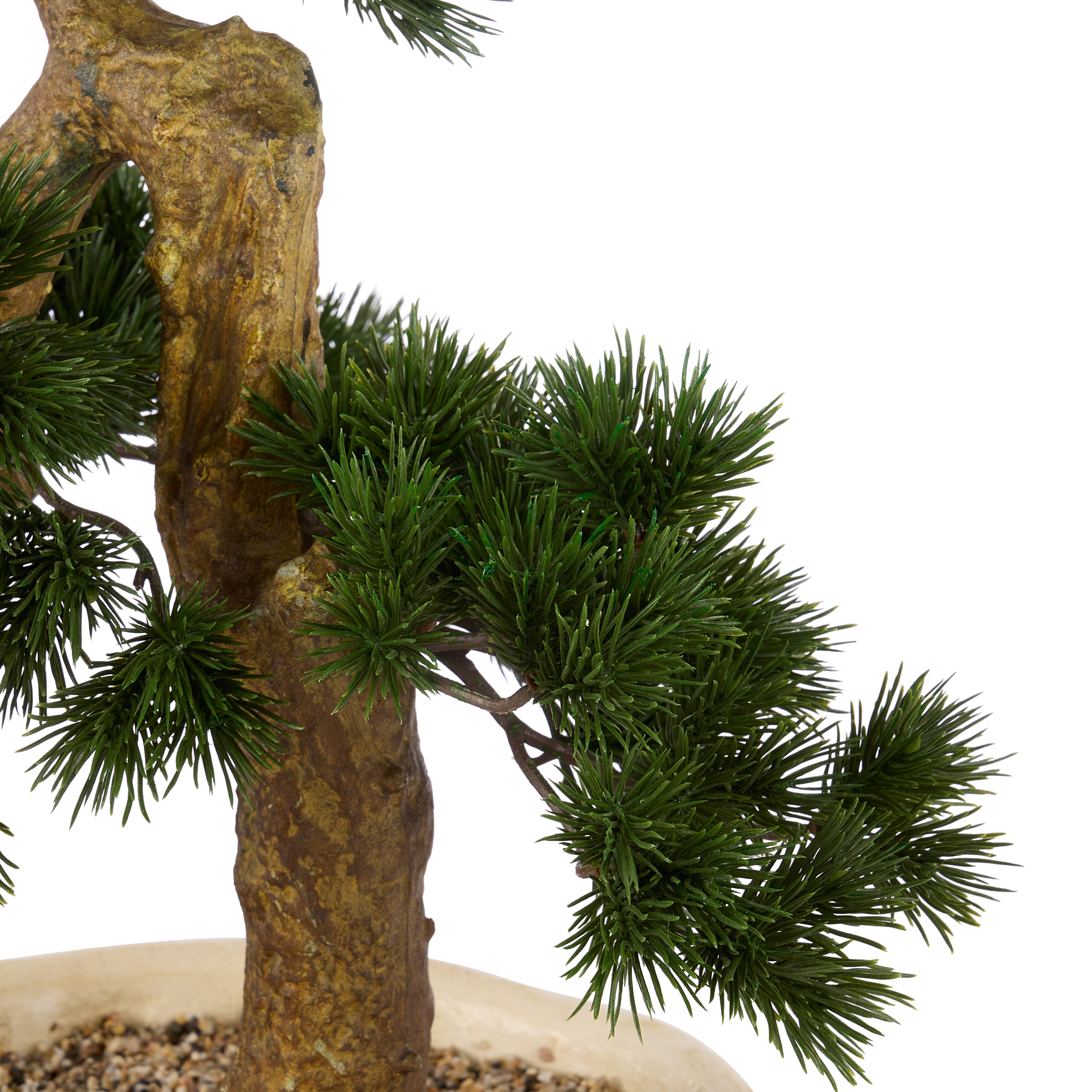 Faux Pine Bonsai - Textured Cement Pot | Cream - 57cm