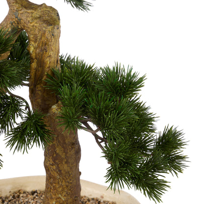 Faux Pine Bonsai - Textured Cement Pot | Cream - 57cm