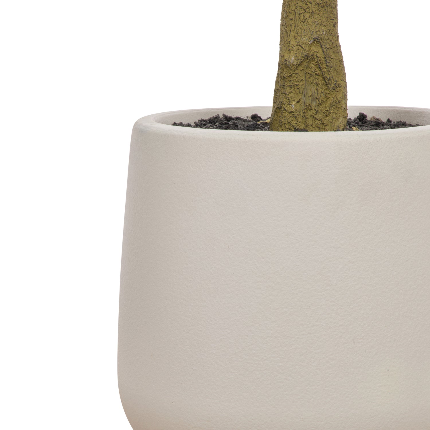 Faux Ficus Tree - White Pot | Green -  150cm