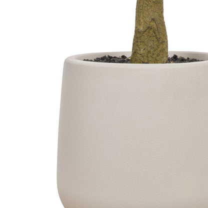 Faux Ficus Tree - White Pot | Green -  150cm