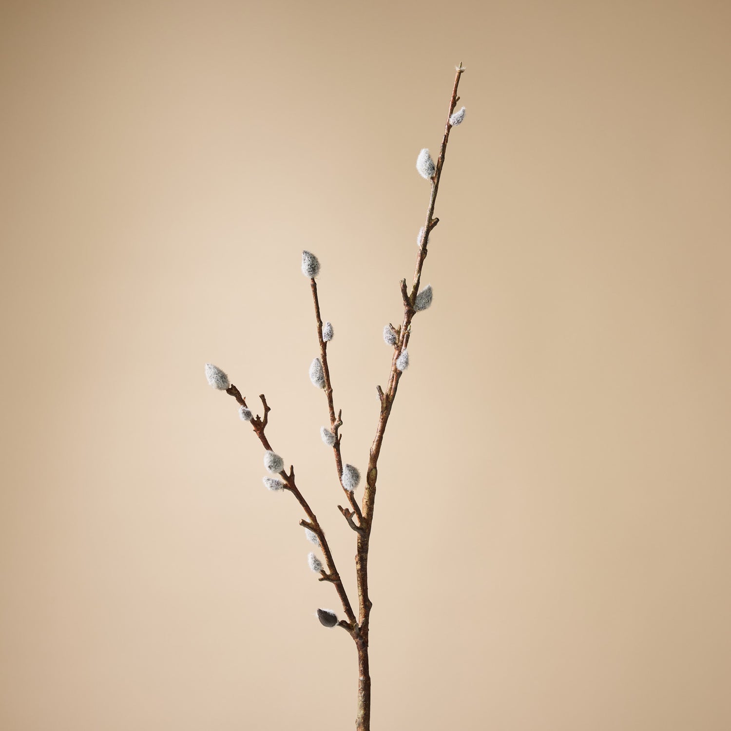 Faux Pussy Willow Spray | 95cm