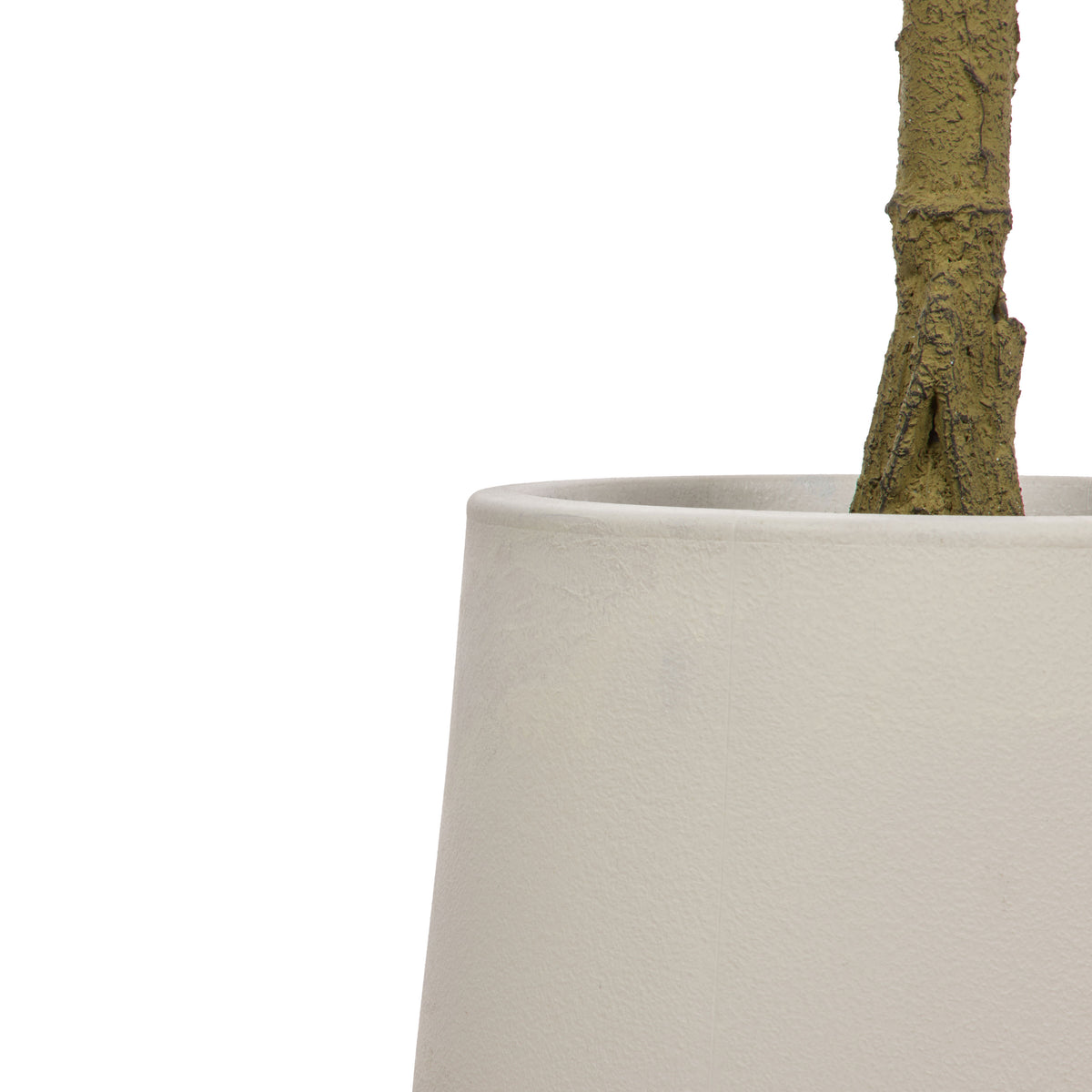 Rogue Ficus Tree Pot Green