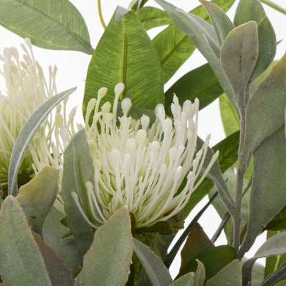 Rogue Australis Protea Eucalyptus Mix - Maliah Pot White