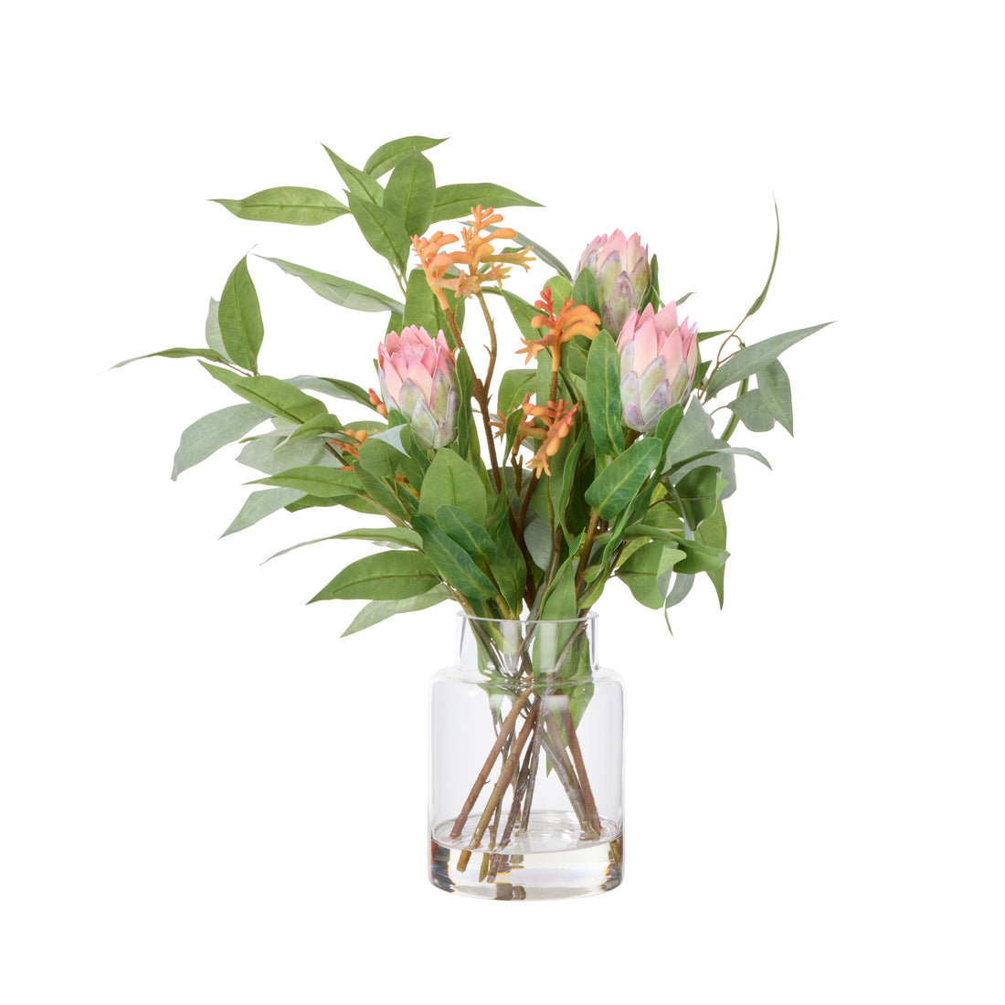 Rogue Pitaya Kangaroo Paw - Pail Vase Pink