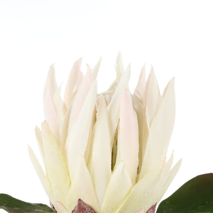 Faux King Protea Stem | White - 60cm