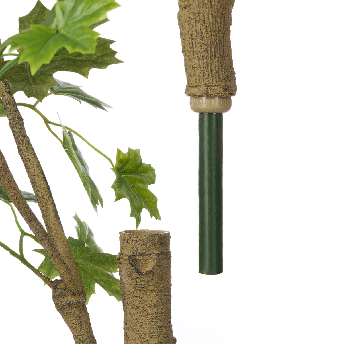 Rogue Maple Tree - Garden Pot Green
