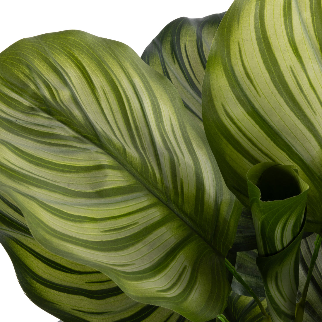 Faux Calathea Plant - Ryker Stonelite Planter | White - 113cm