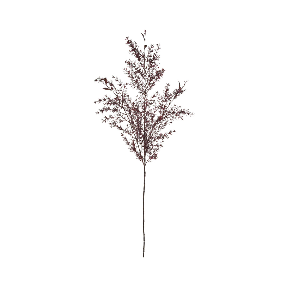 Rogue Tea Leaf Spray Burgundy