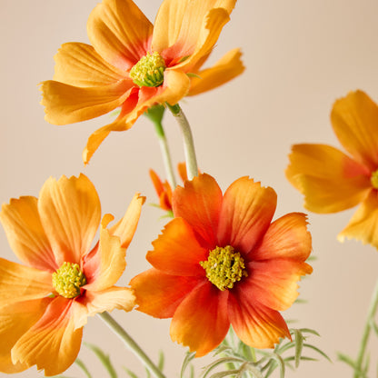 Faux Cosmos Flower Spray | Orange - 62cm