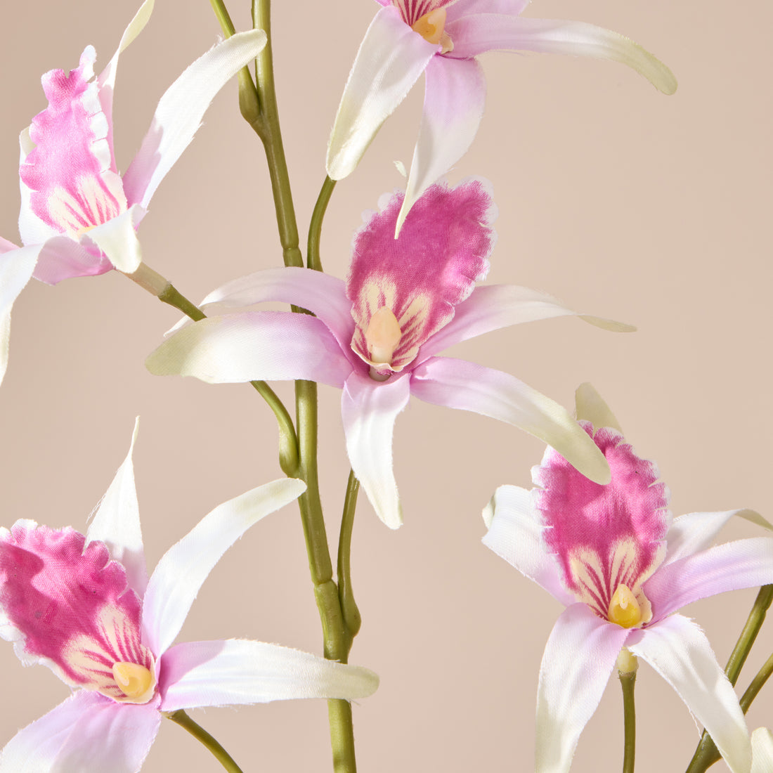 Faux Dendrobium Spray | White &amp; Purple - 92cm
