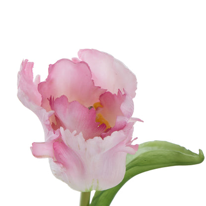 Faux Parrot Tulip Stem | Pink - 48cm