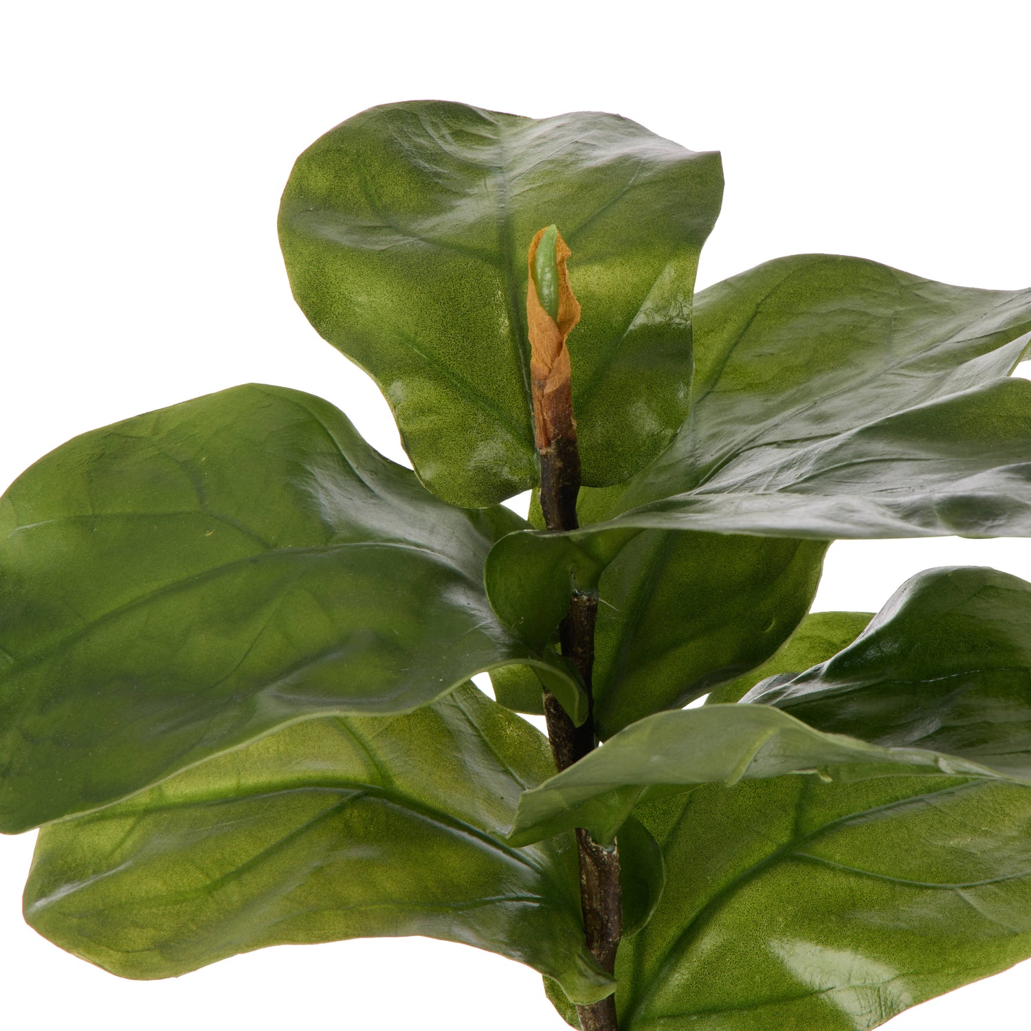Faux Fiddle Leaf Spray | Green  - 58cm
