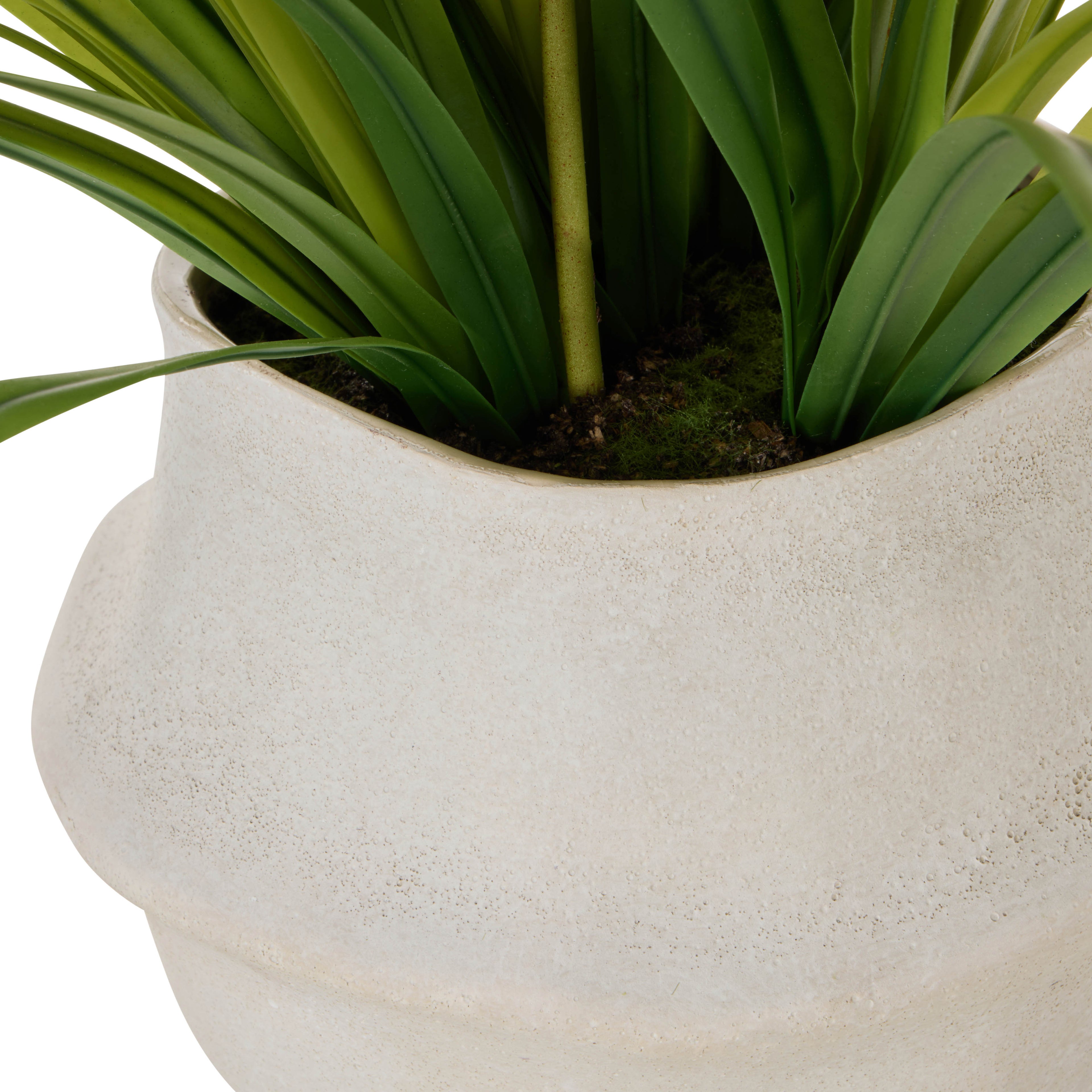 Faux Dendrobium Plant - Maliah Pot | Burgundy -  70cm