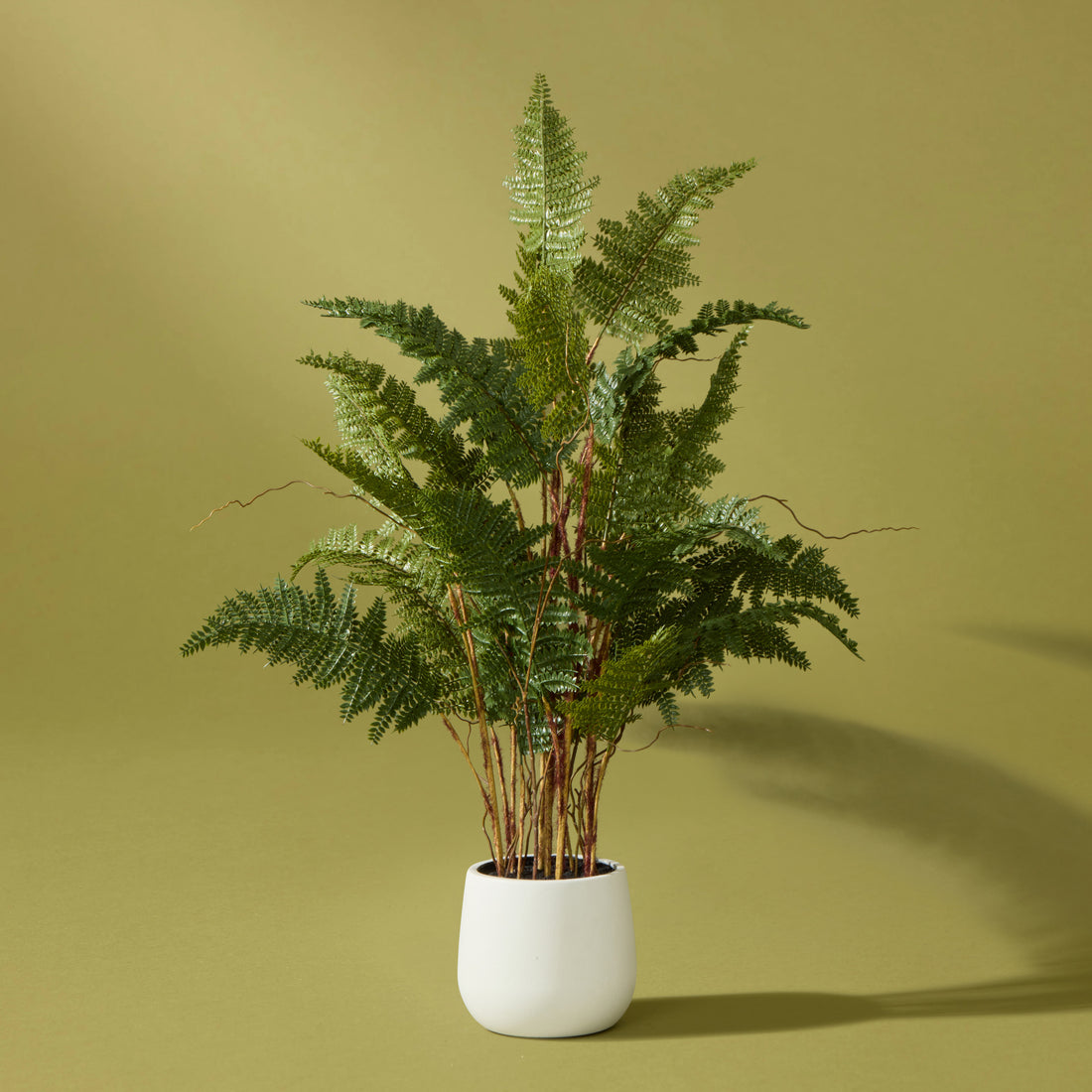 Faux Mountain Wood Fern Pot | White  -  84cm