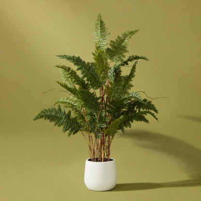 Faux Mountain Wood Fern Pot | White  -  84cm