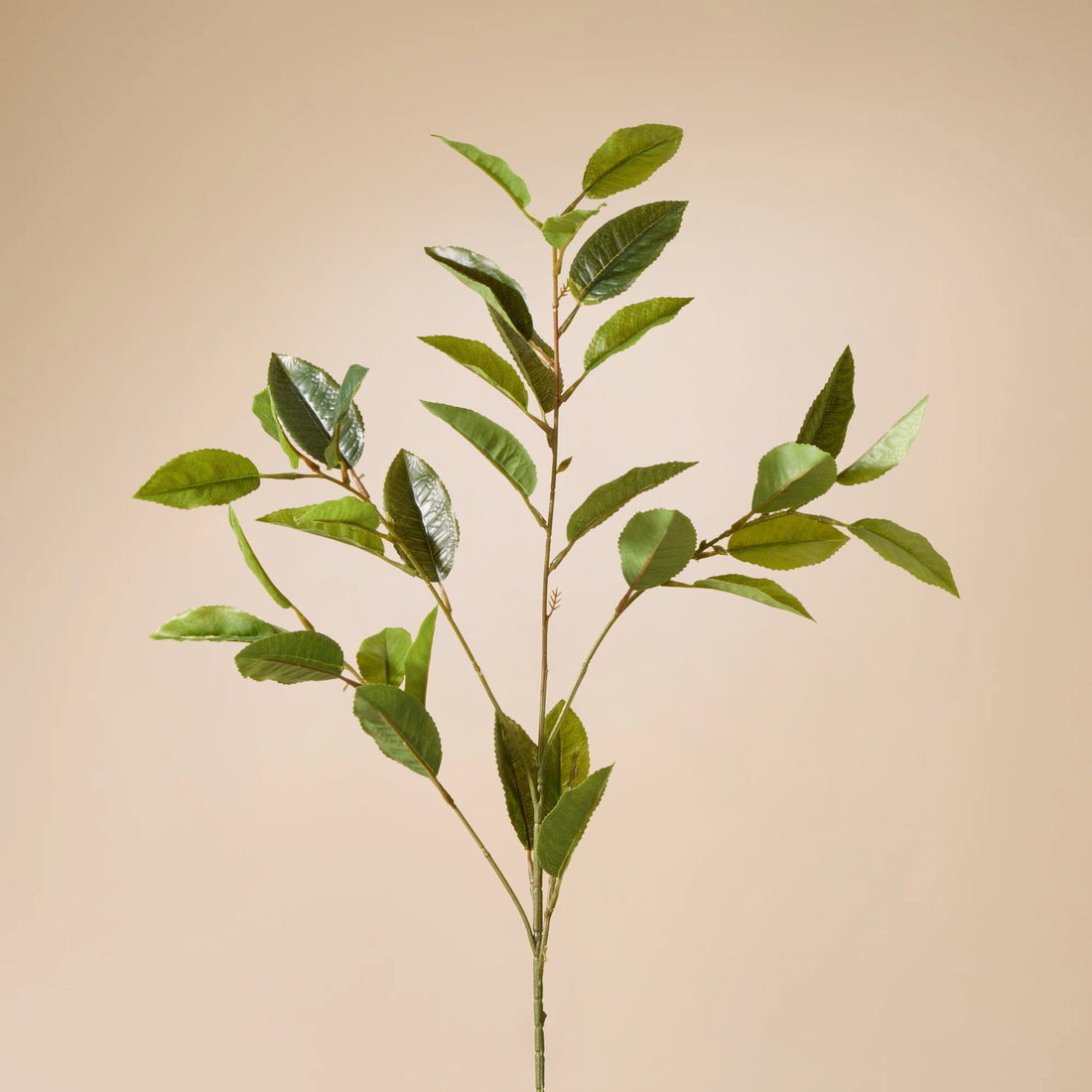 Faux Viburnum Spray | Green - 72cm