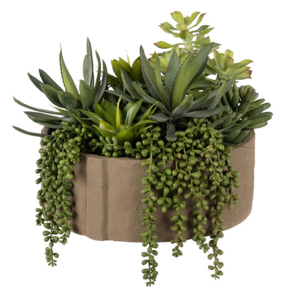 Rogue Succulent Mix - Danvers Seam Pot Wide Green