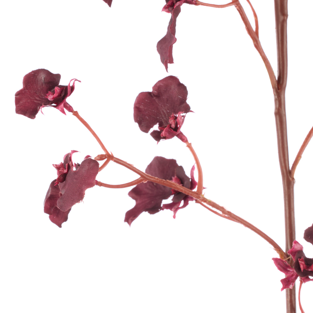 Rogue Dancing Orchid Spray Burgundy