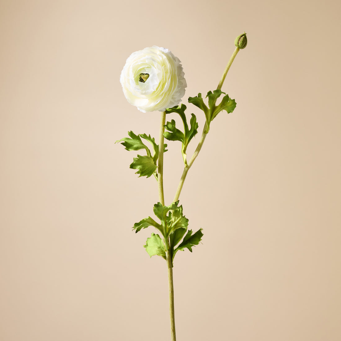 Faux Ranunculus Spray - White | 74cm