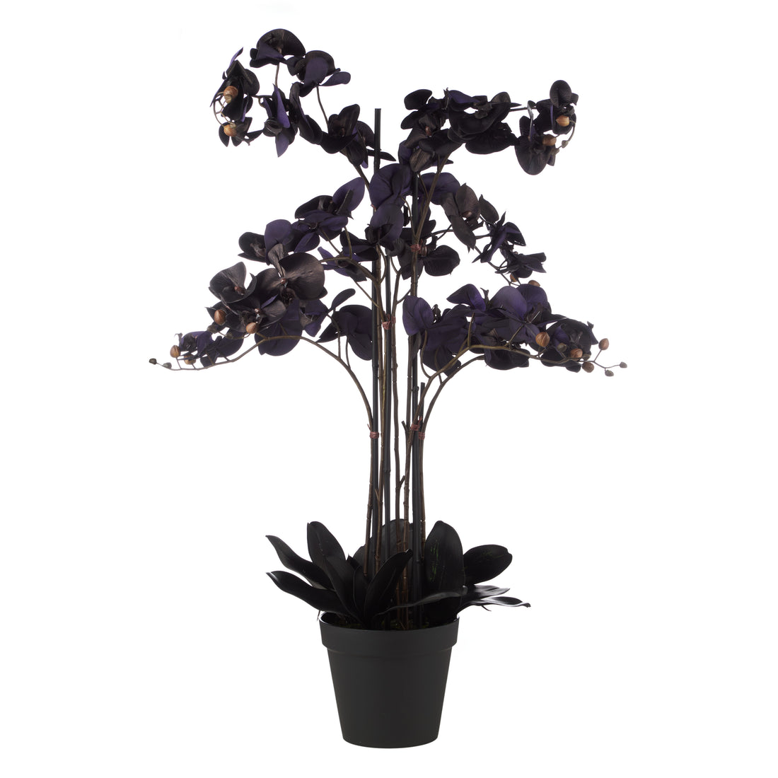 Faux Phalaenopsis Orchid Arrangement - Garden Pot | Black - 105cm