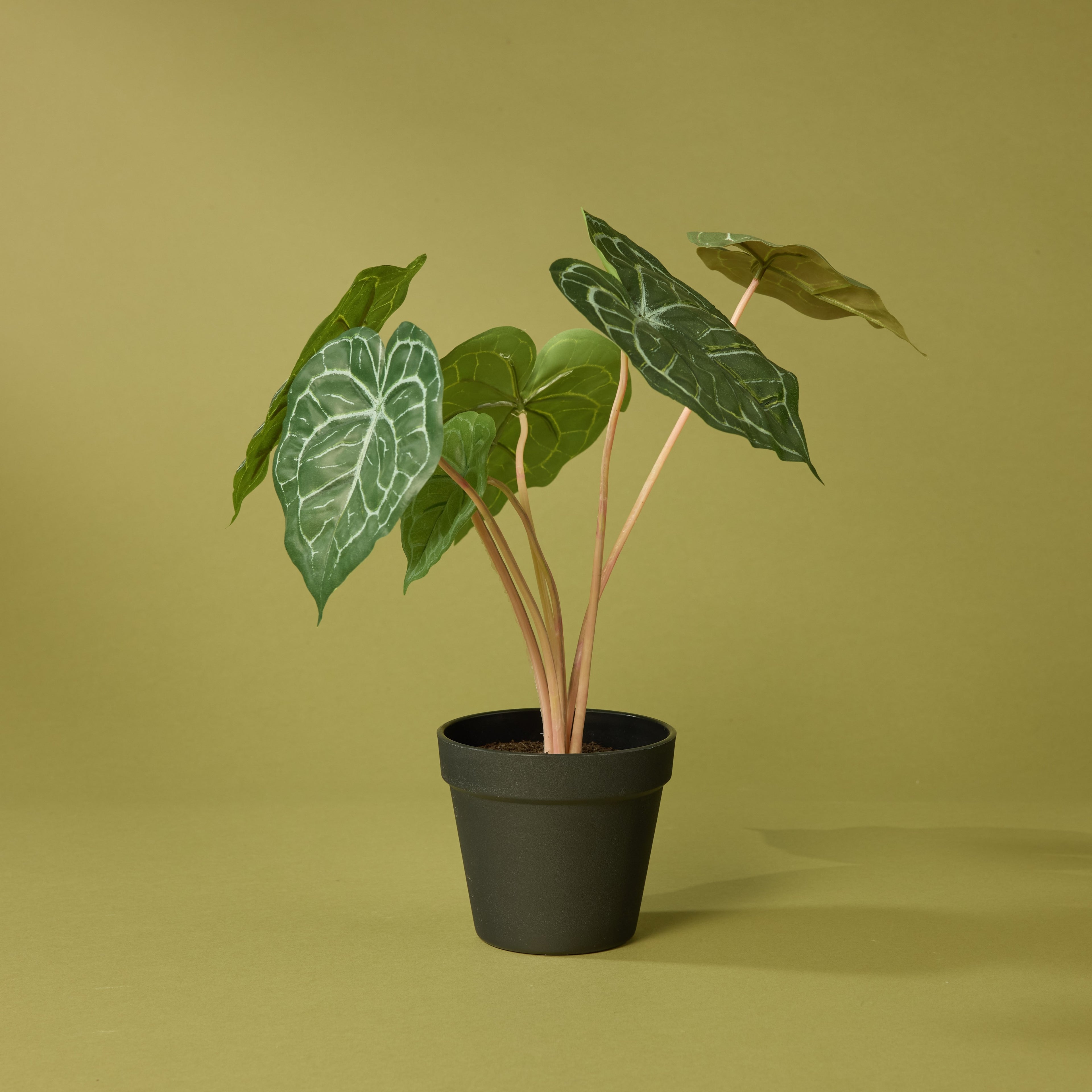 Faux Matuda Anthurium - Garden Pot | 39cm