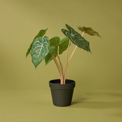 Faux Matuda Anthurium - Garden Pot | 39cm