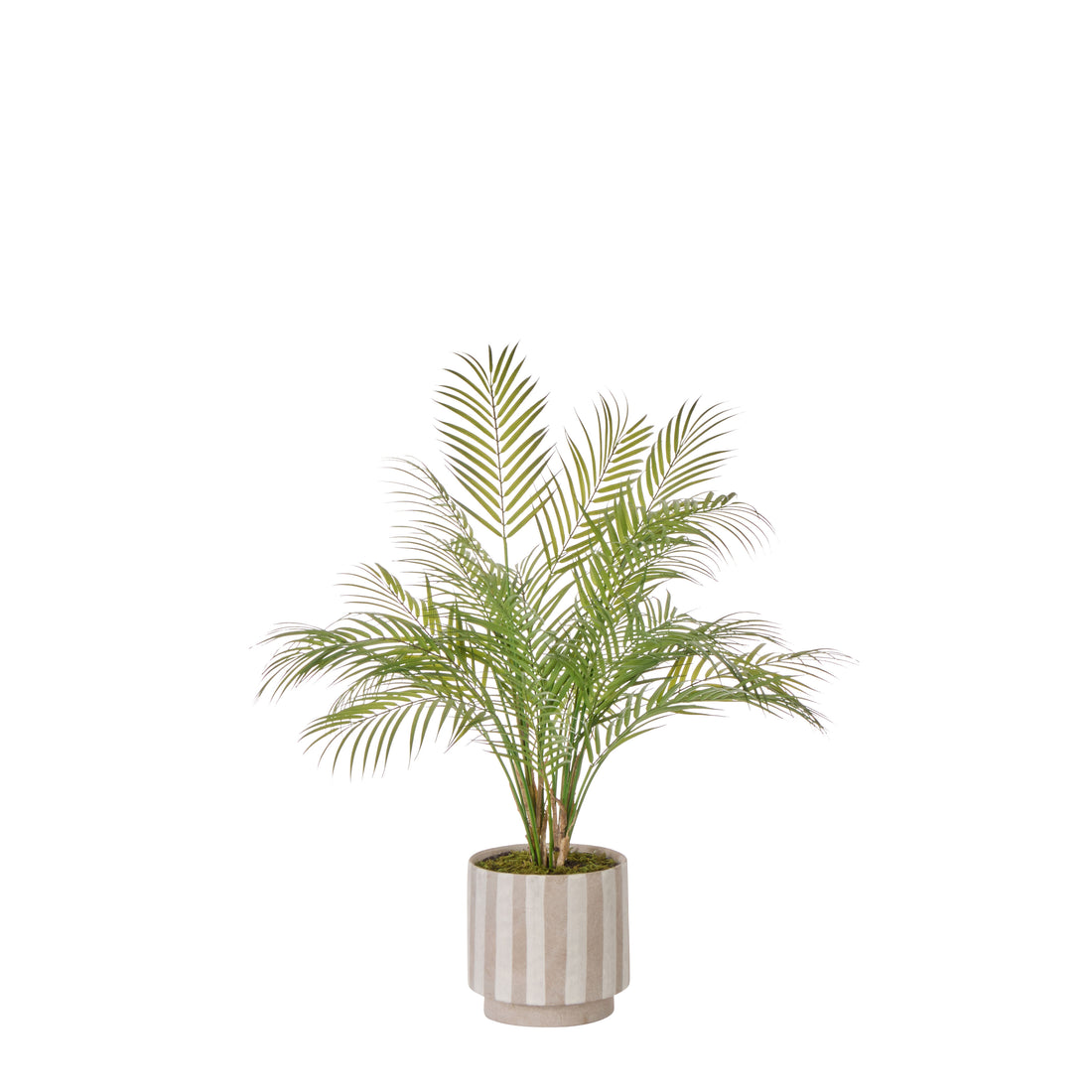 New Faux Plants & Trees