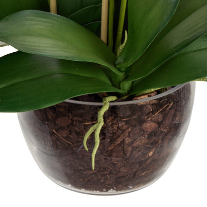 Faux Phalaenopsis Orchid Plant in Classic Bowl | White - 68cm