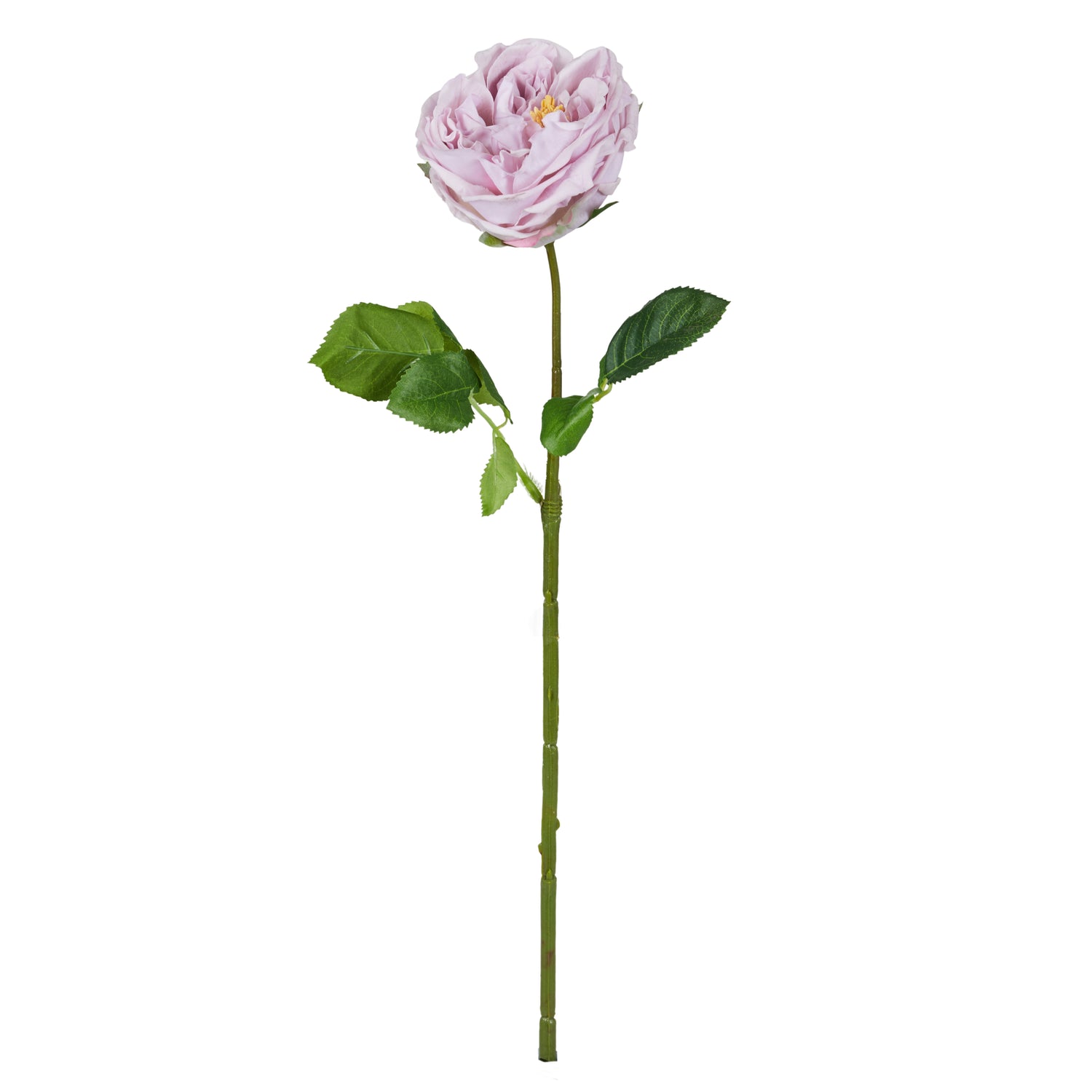 Faux Austin Rose Stem | Purple - 45cm