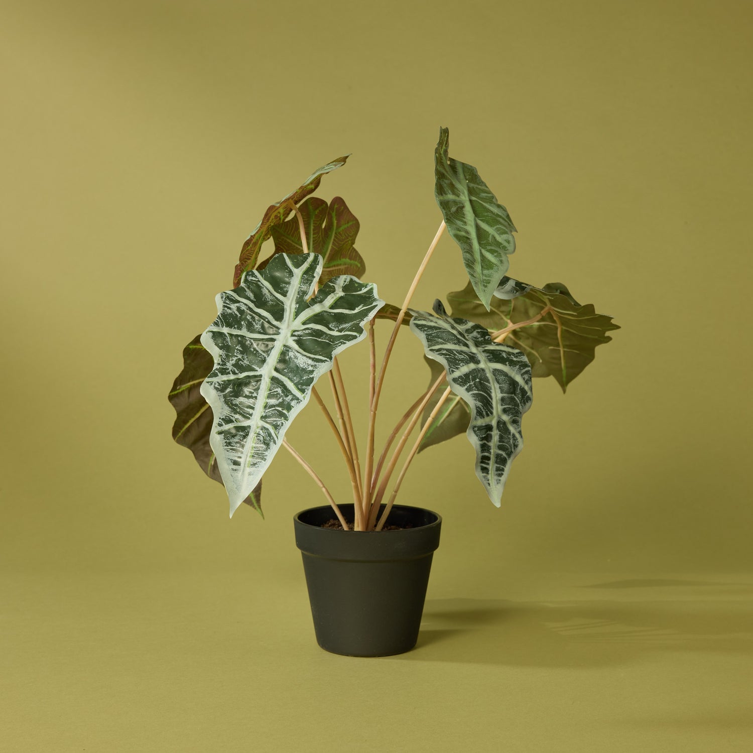 Faux Alocasia - Garden Pot | 43cm