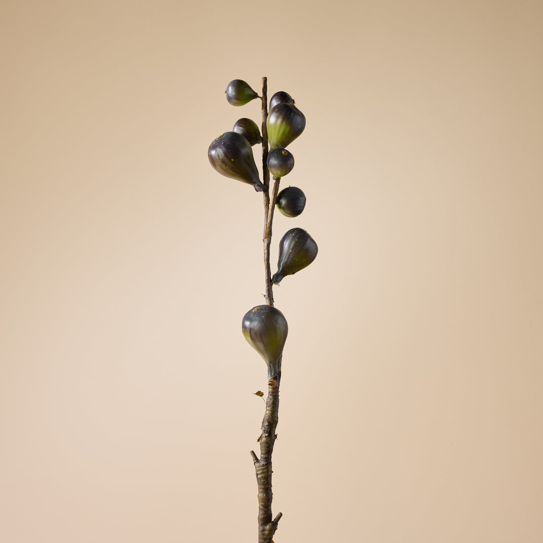 Faux Wild Fig Spray | Burgundy - 70cm