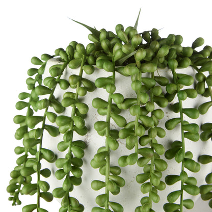 Rogue Hanging Pearls - Tub Pot Green &amp; White
