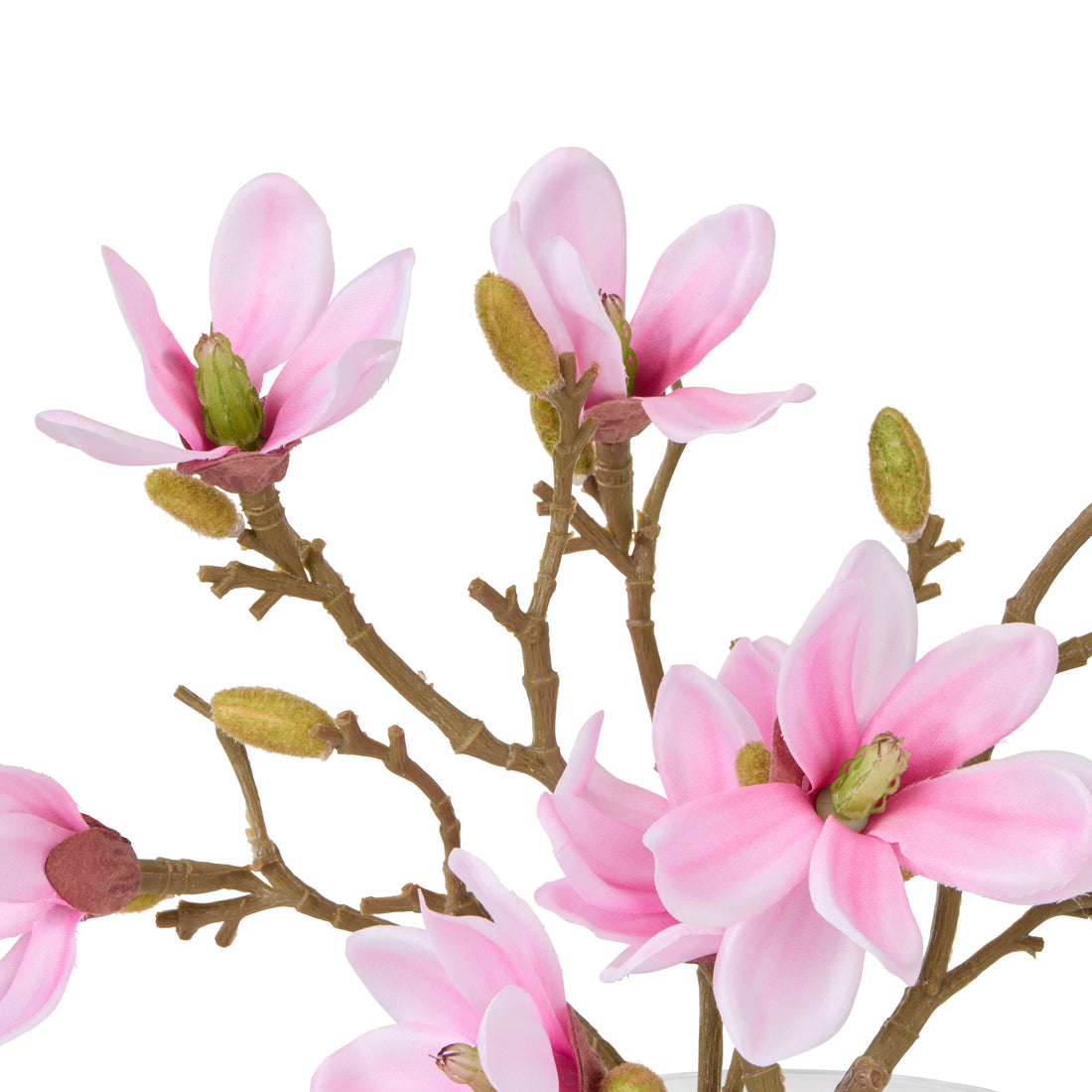 Rogue Mini Magnolia - Sphere Vase Pink