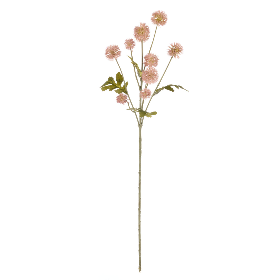 Rogue Pompom Spray Mauve