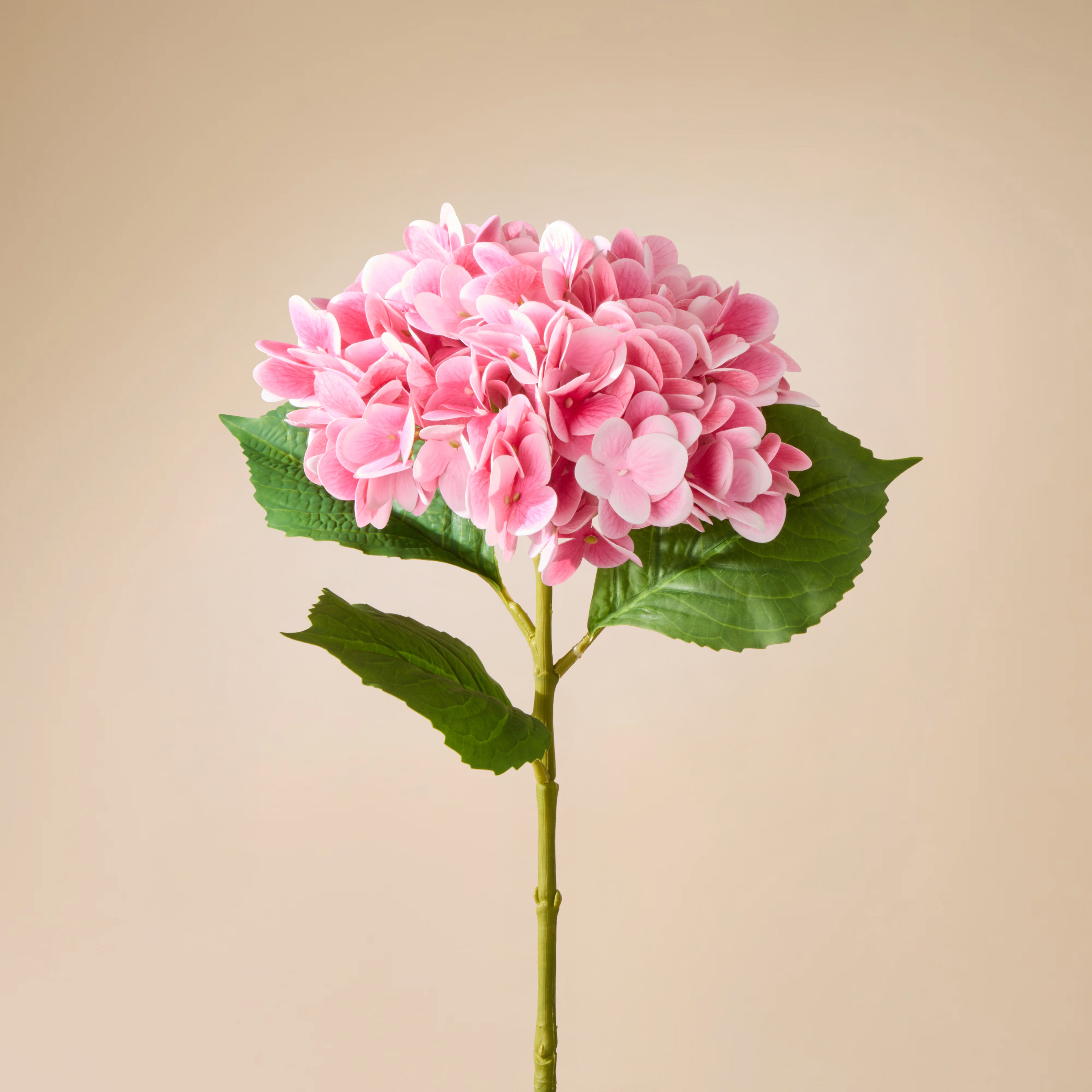 Faux Hydrangea Stem | Pink - 66cm