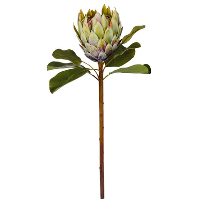 Faux Grand Protea Stem | Green -  63cm