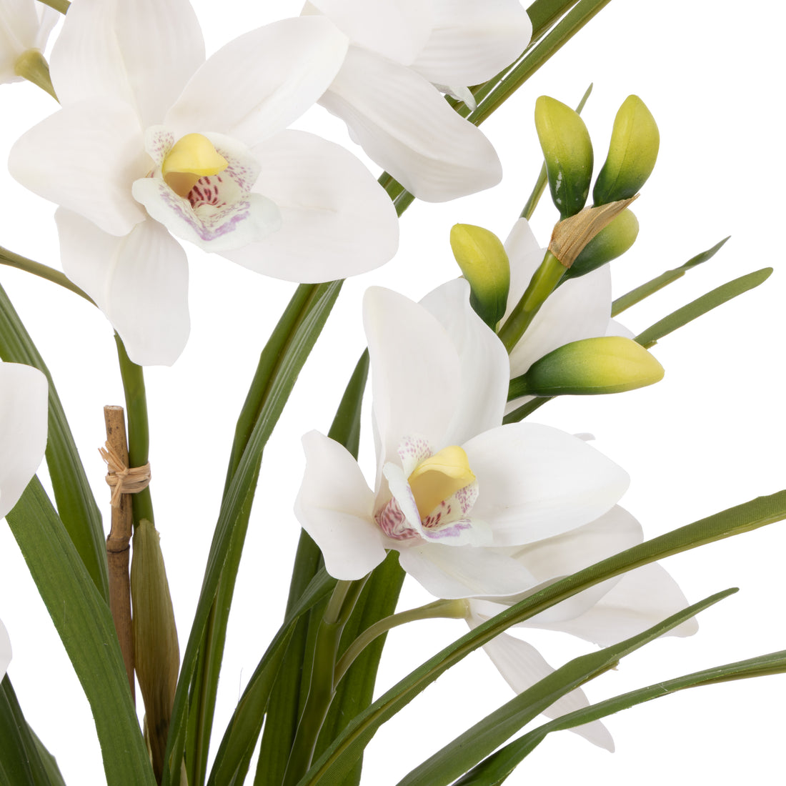 Faux Cymbidium Orchid Pot | White - 74cm