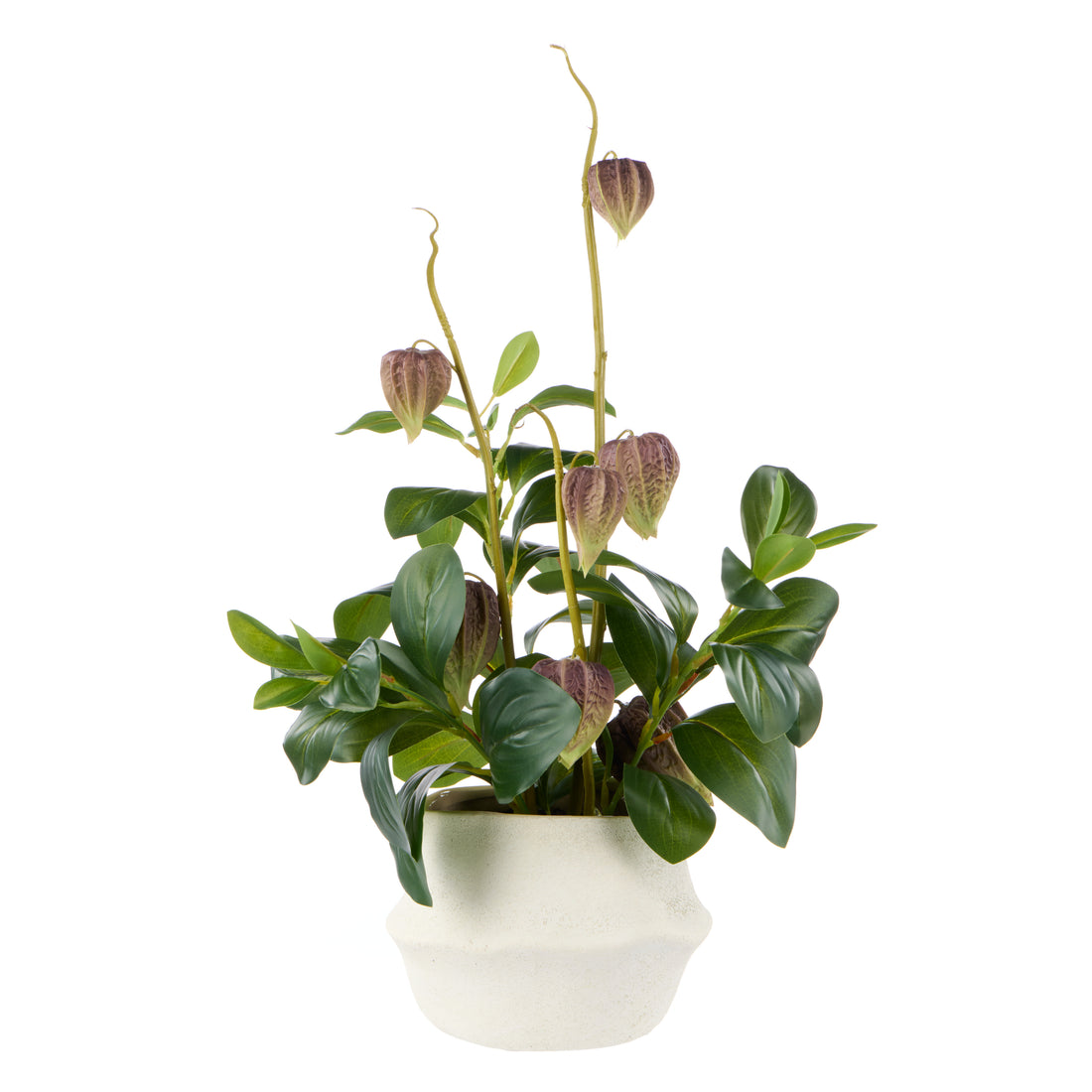 Faux Chinese Lantern Lush Leaf - Maliah Pot Wide | Green - 55cm