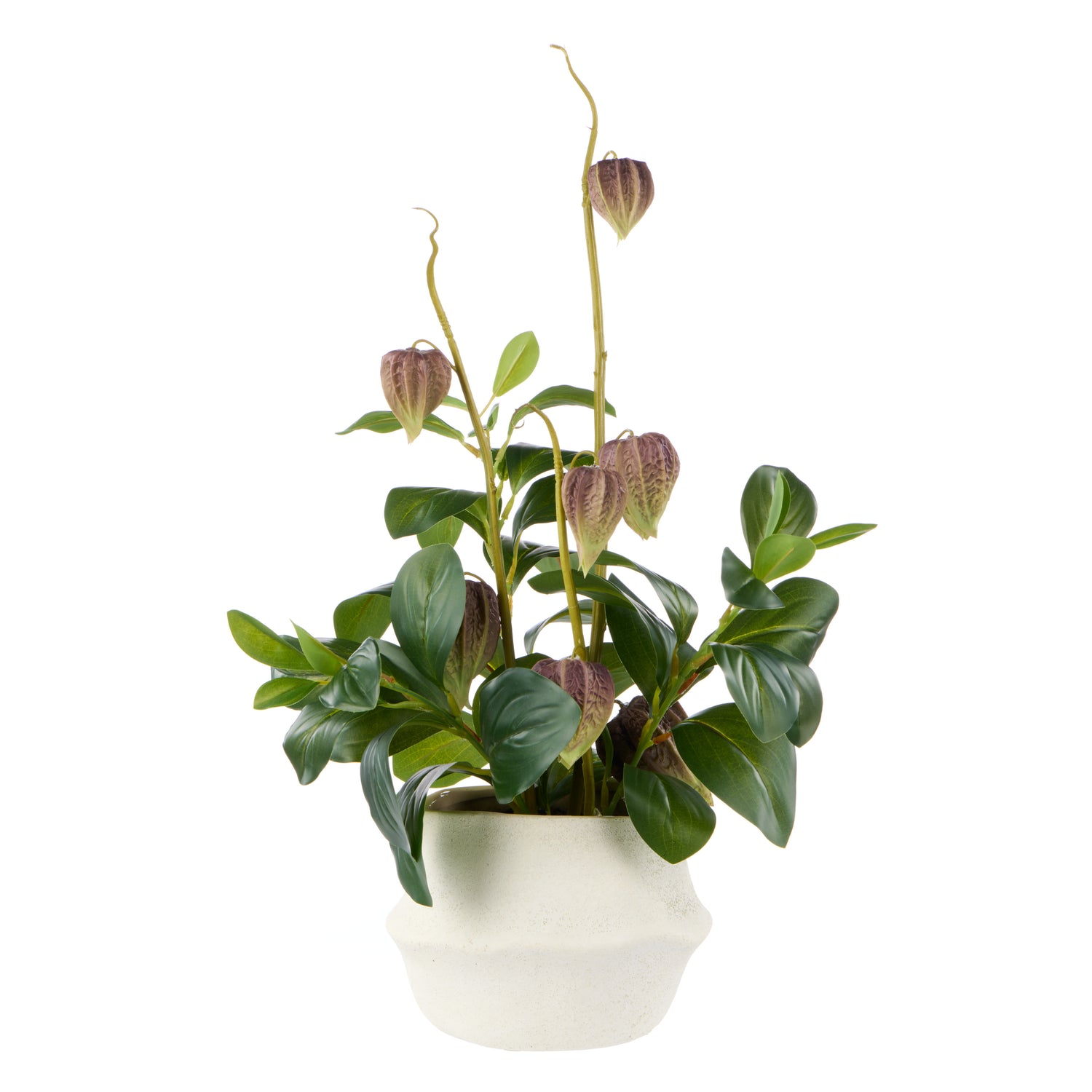 Faux Chinese Lantern Lush Leaf - Maliah Pot Wide | Green - 55cm