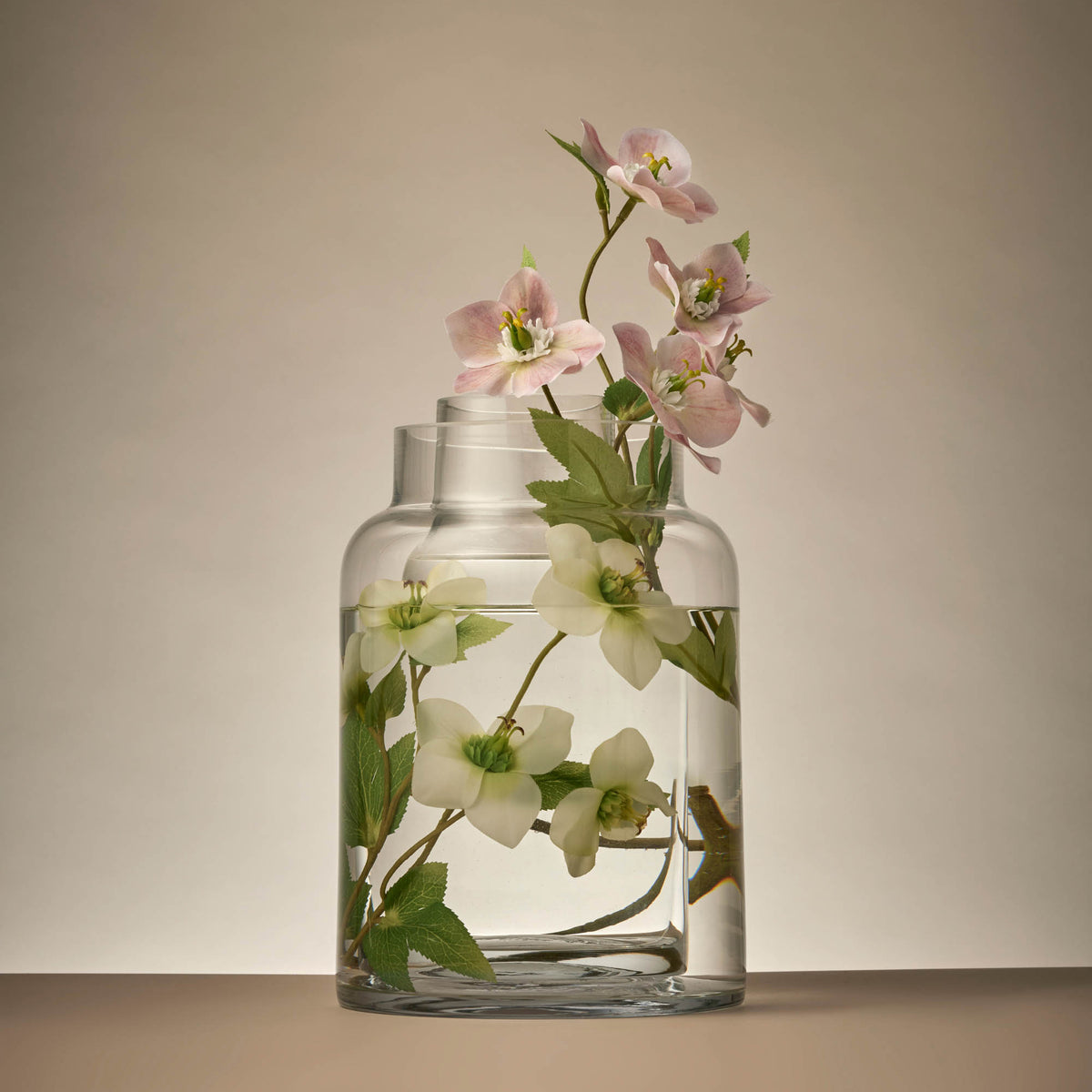 Rogue Helleborus Spray White