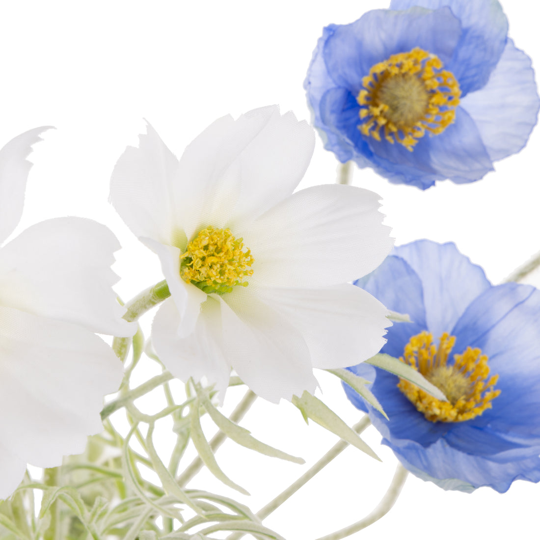 Rogue Poppy Cosmos Mix - Giselle Vase White &amp; Blue