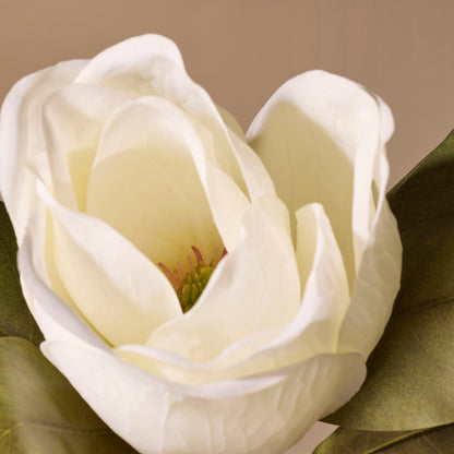 Faux Magnolia Grandiflora | White - 71cm