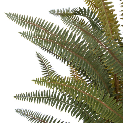 Faux Boston Fern - White Pot | 71cm
