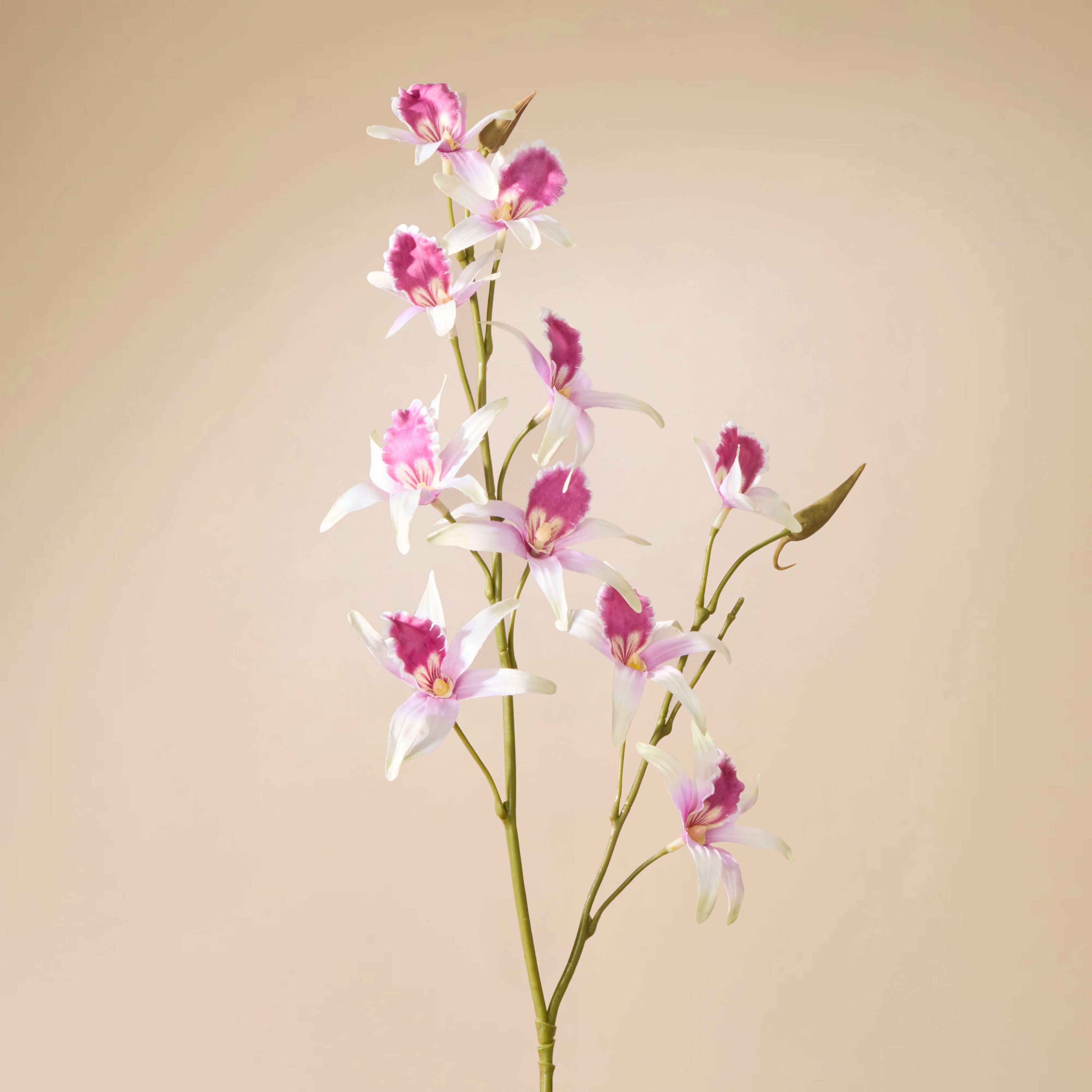 Faux Dendrobium Spray | White &amp; Purple - 92cm
