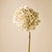 Faux Grand Hydrangea Stem | Cream - 68cm