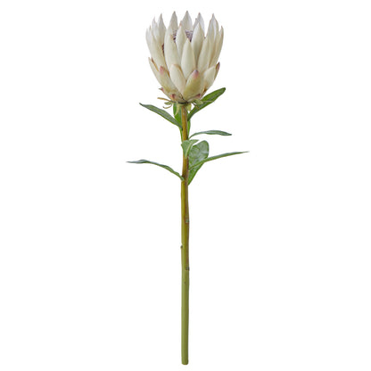 Faux Protea Spray | Cream - 60cm